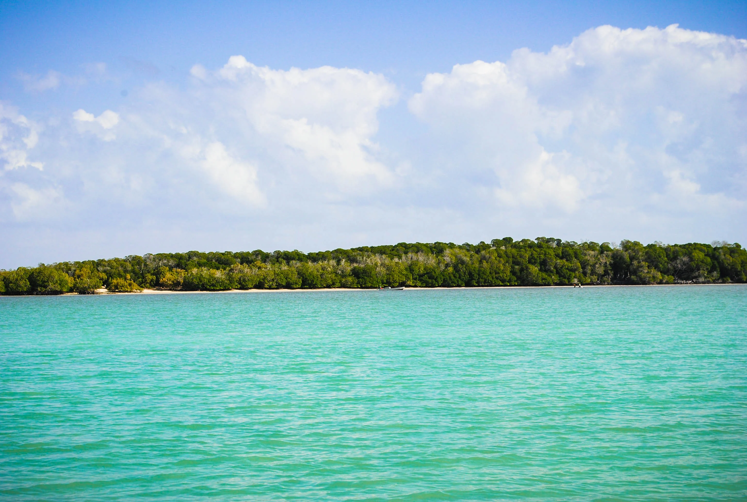 Île Moucha